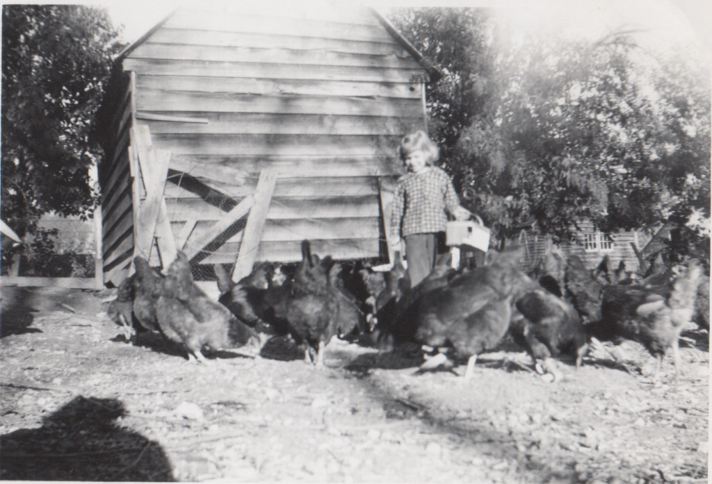 Diane in the chicken yard 1957