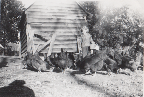 Diane in the chicken yard 1957