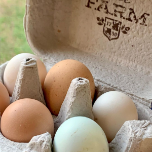 Farm Fresh Eggs