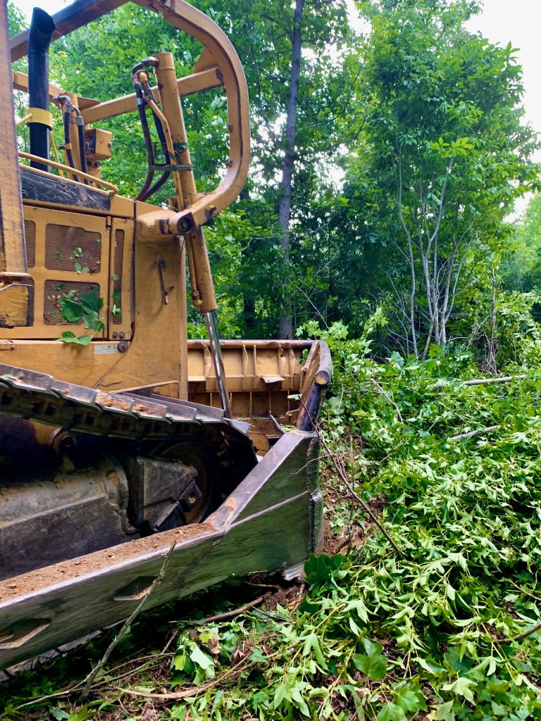 Longleaf Pine Initiative