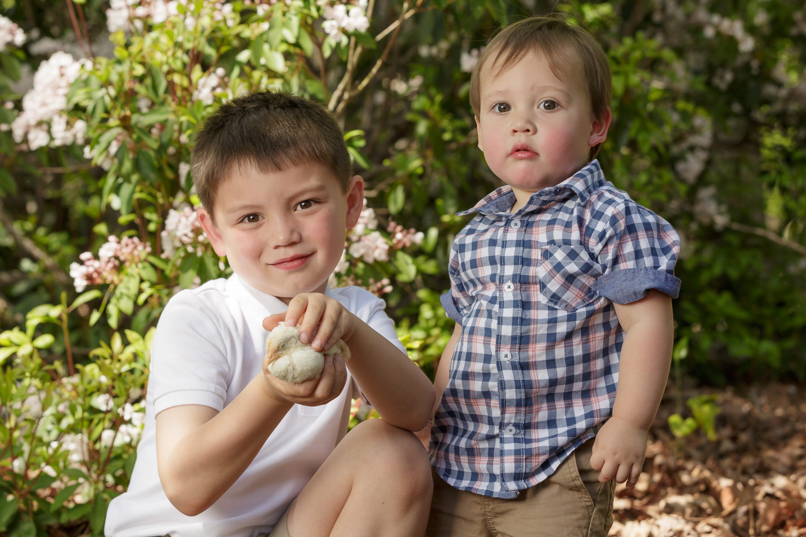Young boys with baby chicken
