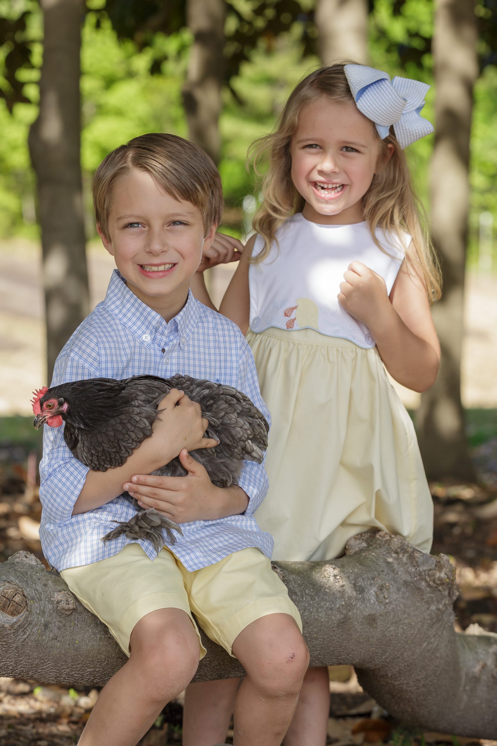 Spring photos of brother & sister with farm chicken