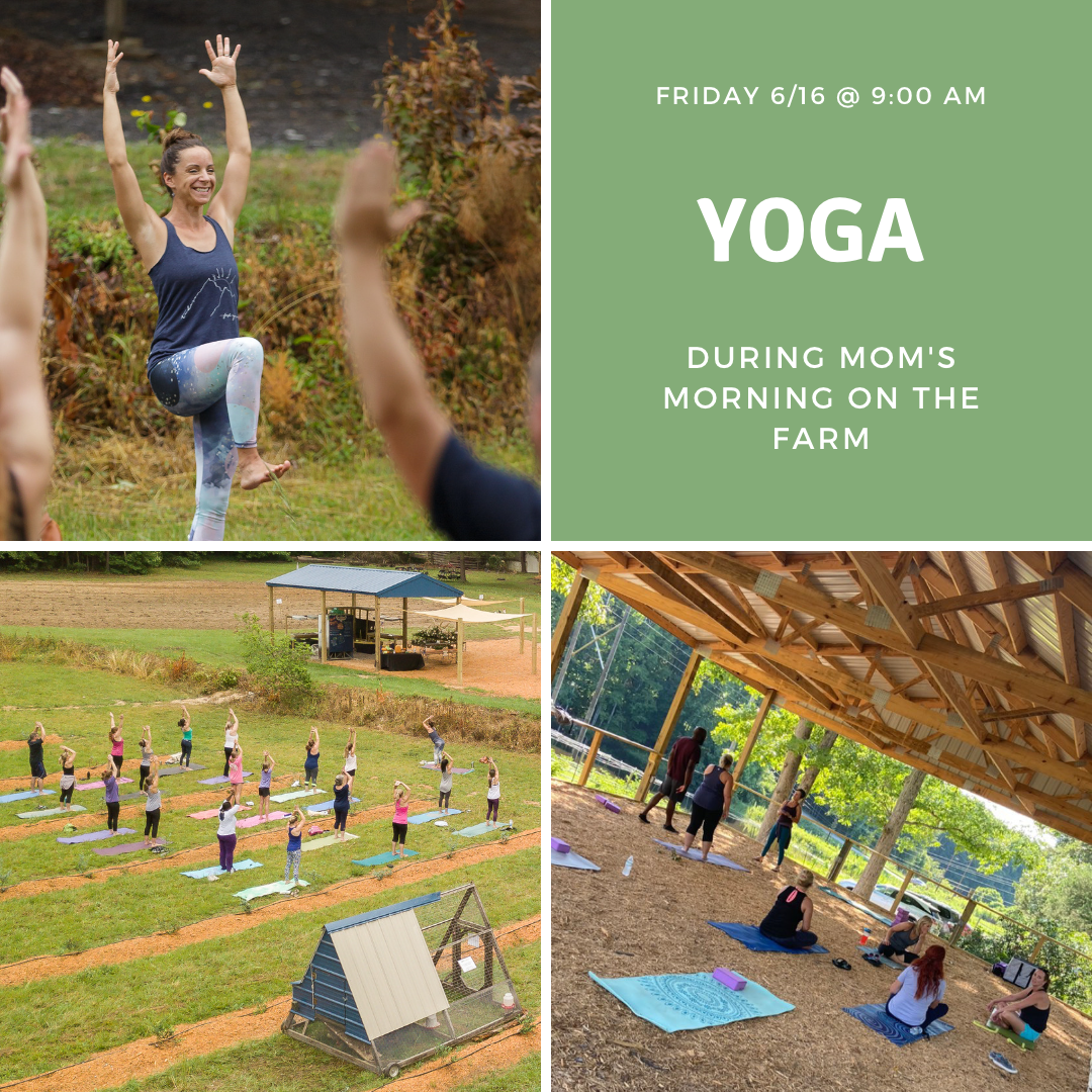 Yoga during mom's morning on the farm on June 16th.