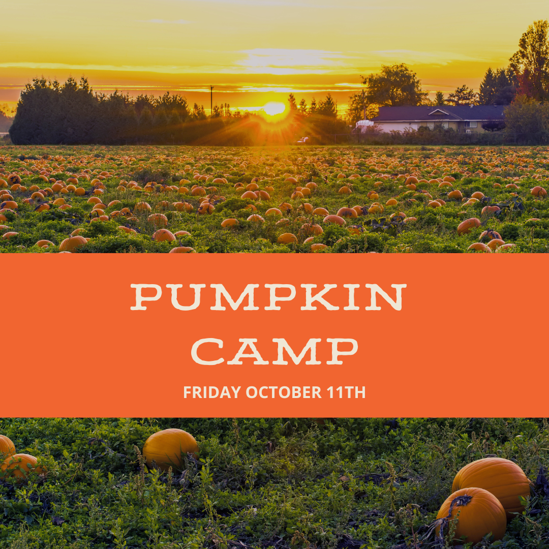 Fall pumpkin camp at The FARM 1780