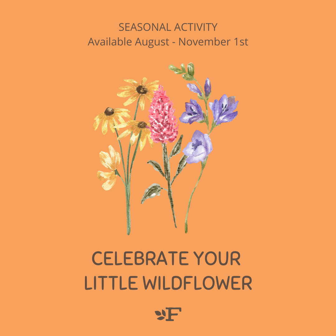 Pick Your Own Fall Flowers at The FARM 1780