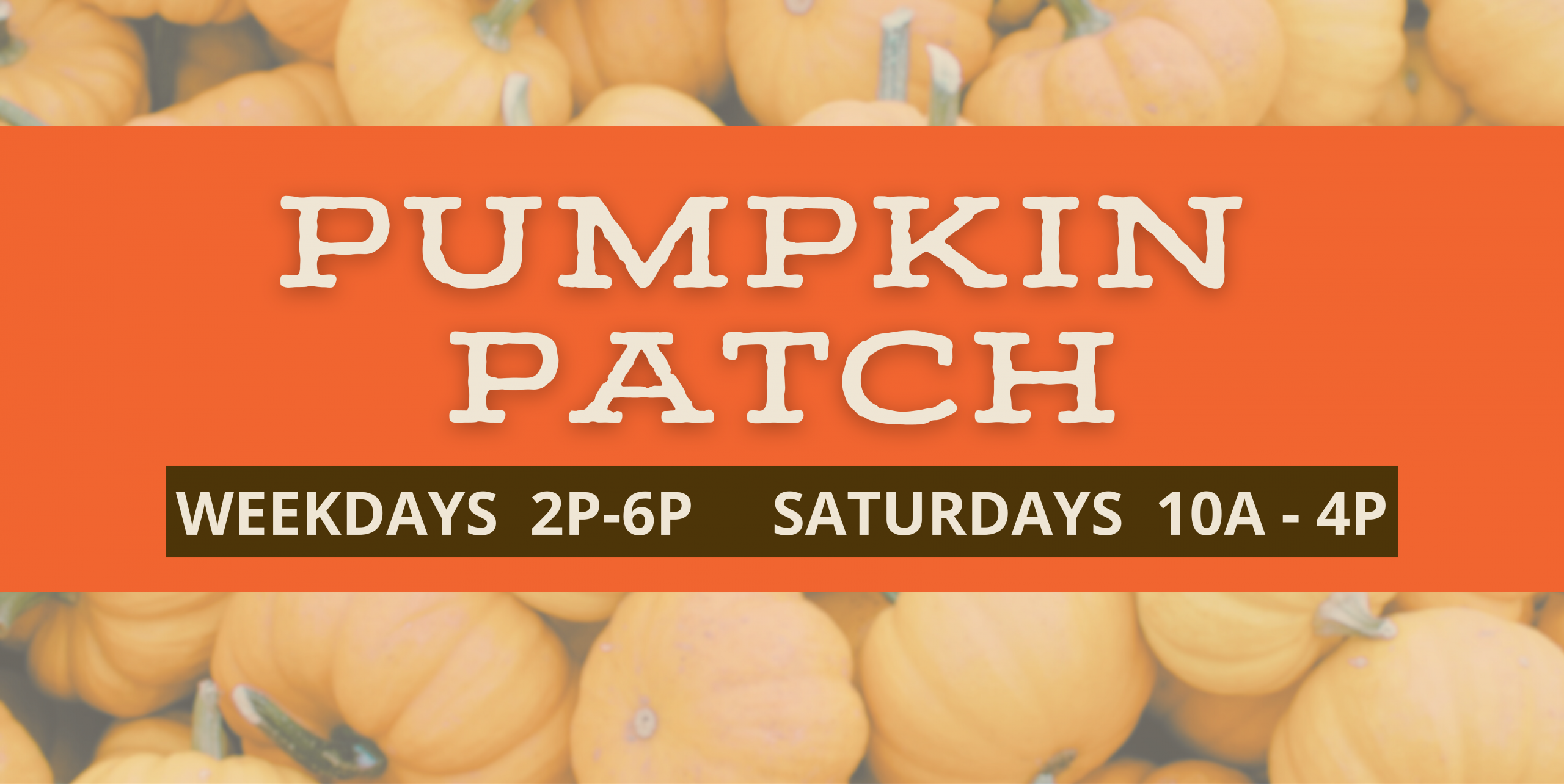Pumpkin Patch in Lexington SC open weekdays 2-6p (extended Tuesday hours until 7:30) and Saturdays 10a-4p