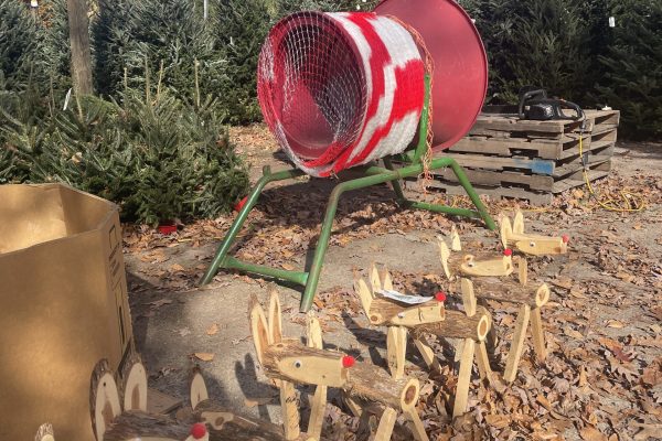 Christmas Decor available at The FARM 1780 in Lexington SC