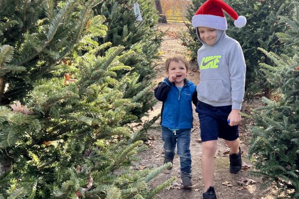 Lexington Christmas Tree