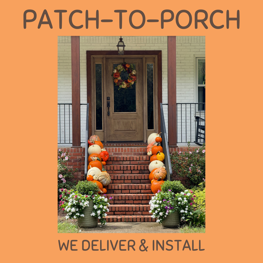 Bring the pumpkin patch from the farm to your home or business